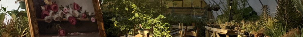 dinner table set up in a greenhouse lit by chandelier